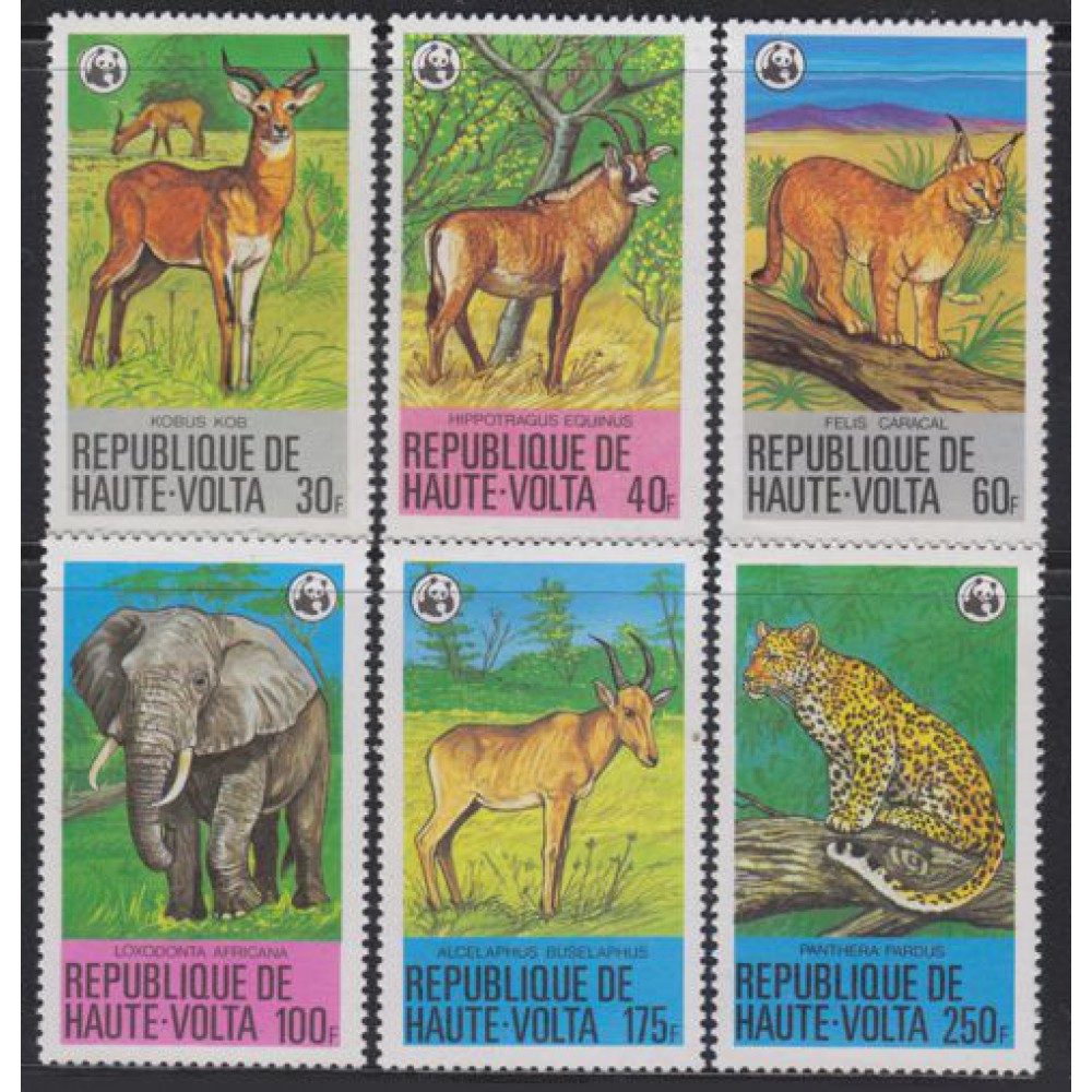 Animales salvajes
